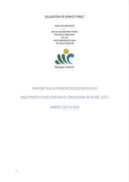 Point 4 - Rapport DSP lot 1 - La Fabrique Citoyenne du Pays de l`Or