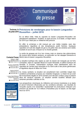 Prévisions de vendanges pour le bassin Languedoc