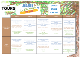 Planning ALSH Août Semaine 4 / 6-8 ans