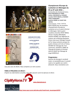 Newsletter - Working Equitation France