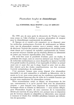 Plasmodium berghei et chimioth&eacute;rapie
