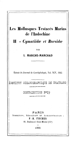 Page 1 |||Les Mollusques Testacés Marins de l`Indochine II