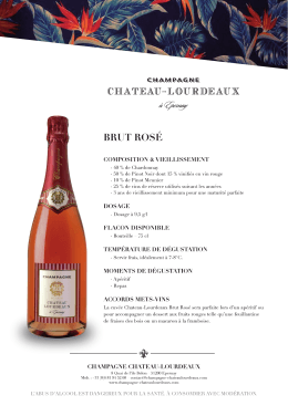 Rosé - Champagne Chateau-Lourdeaux