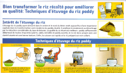 Technique pour bien transformer le riz recolt&eacute;