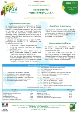 Télécharger