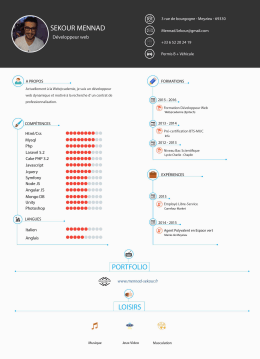 Mon CV - Sekour Mennad - Portfolio Développeur Web