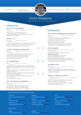 CV_VICTOR_DELAPORTE_2016.compressed