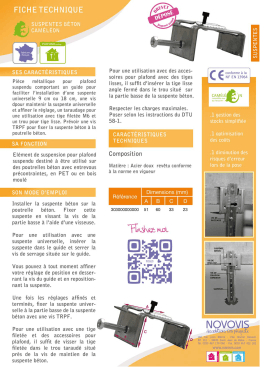 SUSPENTE BETON CAMELEON.psd