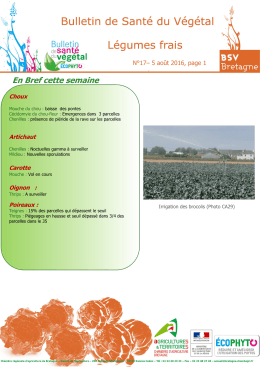BSV n°17 légumes 5 AOUT 2016 - Chambres d`Agriculture de