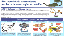 Page 1 Bien reproduire le poisson clarius par des techniques