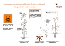 Insecticides, néonicotinoïdes (Gaucho, Cruiser, Sonido, etc)