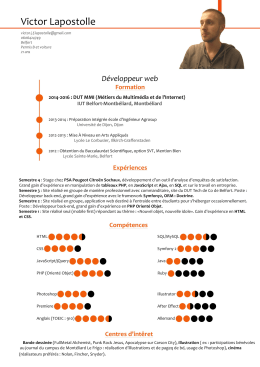 CV - Victor Lapostolle | Portfolio