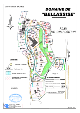 Commune de Baliros (64510) Plan de composition du lotissement