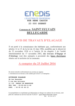 travaux d`élagage des lignes électriques - Saint-Silvain