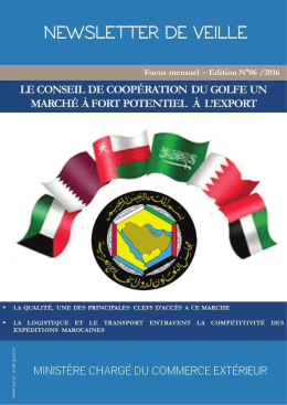 1 NE \//S_ETTEER IDE \/E__E Eoes nnensume Edition N 06 /2016