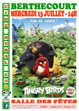 Affiche - Angry birds - Berthecourt.pub