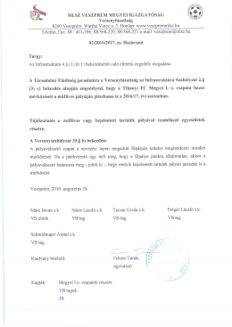 Tihanyi FC műfüves pályahasználata