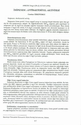 Page 1 ANKEM Derg 6 (No 2) 317
