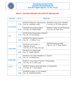 BLM201617GuzDersProgBilgiTe