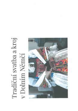 Dokument ke stažen&iacute;