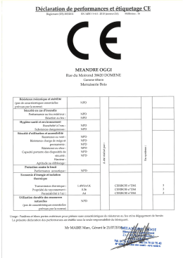 Page 1 Déclaration de performances et étiquetage CE Règlement