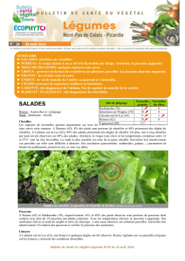 BSV Légumes n°29 du 30 aout 2016 - DRAAF Nord-Pas-de