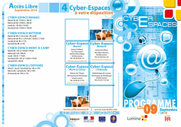 Programme Cyber-Espaces