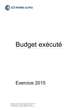 Budget exécuté - CCI Rhône