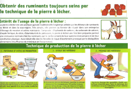 Page 1 Obtenir des ruminants toujours sains par la technique de la