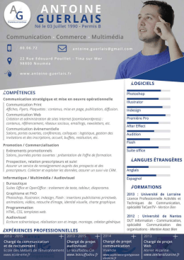 T&eacute;l&eacute;charger mon CV