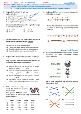 8. Sınıf Fen Bilimleri DNA ve Genetik Kod Yaprak Test