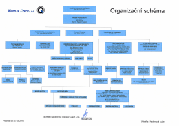 Organizační schéma