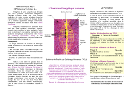 L`Anatomie Energétique Humaine - aura