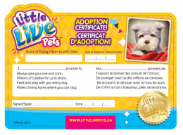 Page 1 ADOPTION → GĖRIFICATE AA | * -