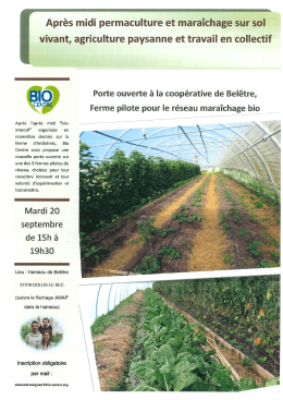 Programme en t&eacute;l&eacute;chargement sur notre site