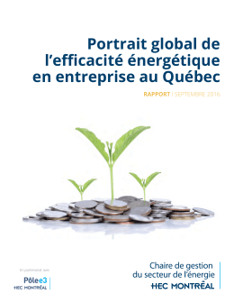 Portrait global de l`efficacité énergétique en entreprise au Québec