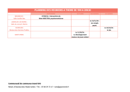 RAM - Réunions à thème PDF