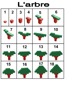 arbre 1