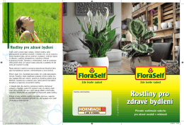 Rostliny pro zdravé bydlení