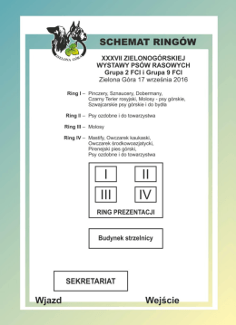 Plan Ring&oacute;w