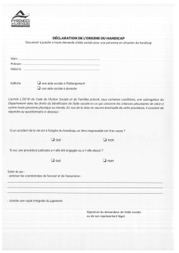 D&eacute;claration d`origine du handicap (238 ko, PDF)