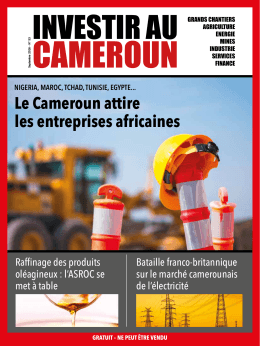 Le Cameroun attire les entreprises africaines