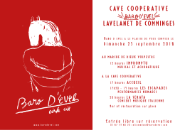 CAVE COOPERATIVE LAVELANET DE COMMINGES
