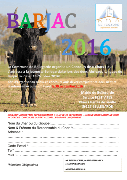 La Commune de Bellegarde organise un Concours de « Chars » qui