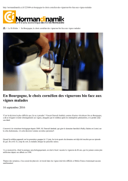 En Bourgogne, le choix cornélien des vignerons