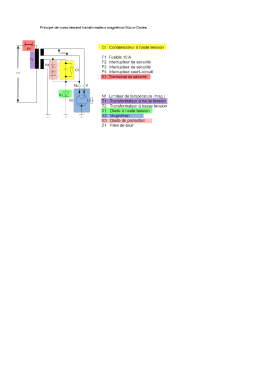 Page 1 Principe de branchement transformateur magn&eacute;tron Micro