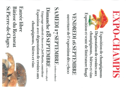 Exposition de Champignons