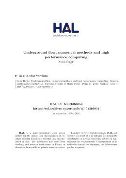 Underground flow, numerical methods and high performance
