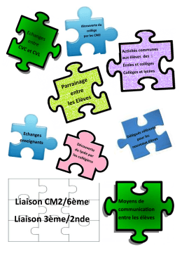 puzzle liaisons