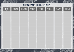 emploi du temps plumes